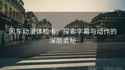 风车动漫体检卡：探索字幕与动作的深层奥秘