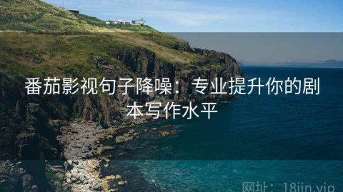 番茄影视句子降噪：专业提升你的剧本写作水平