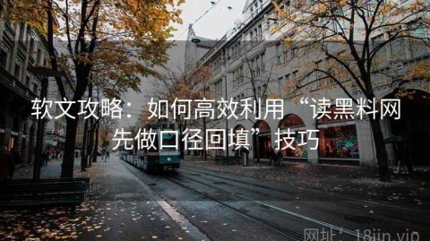 软文攻略：如何高效利用“读黑料网先做口径回填”技巧