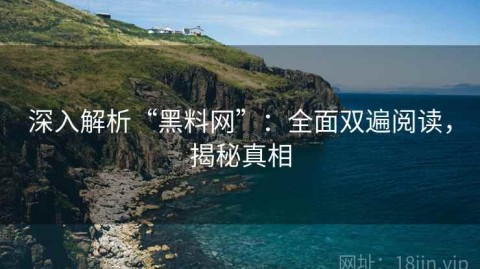 深入解析“黑料网”：全面双遍阅读，揭秘真相