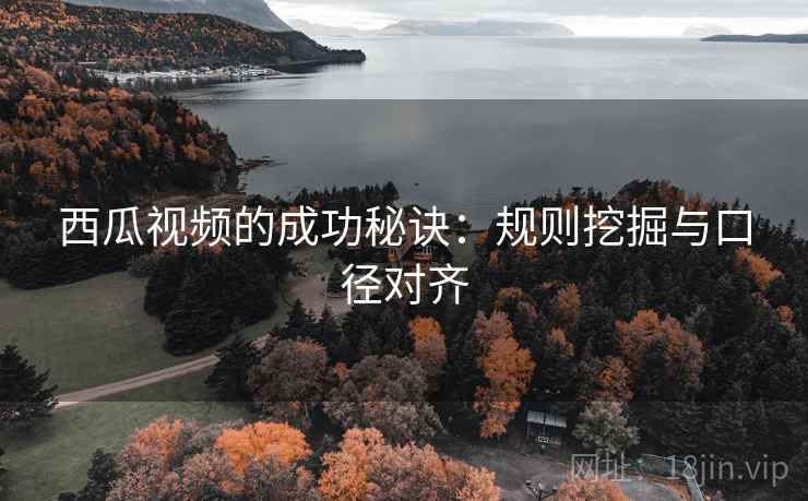 西瓜视频的成功秘诀:规则挖掘与口径对齐 西瓜视频的成功秘诀:规则挖掘与口径对齐