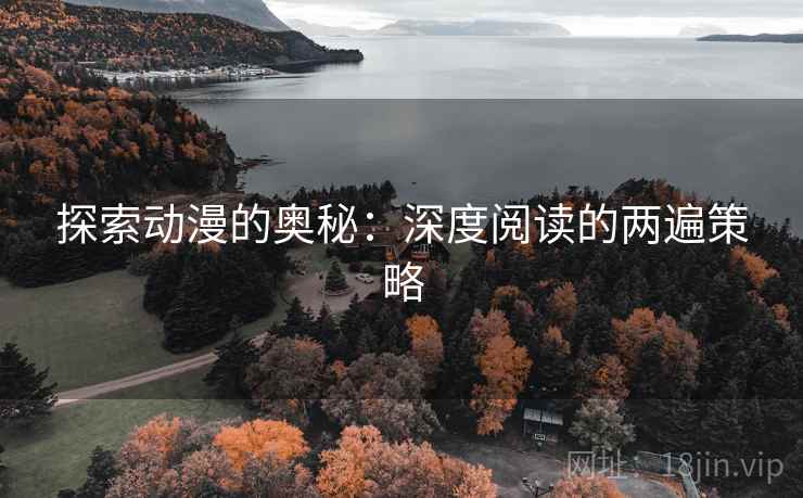 探索动漫的奥秘:深度阅读的两遍策略 探索动漫的奥秘:深度阅读的两遍策略